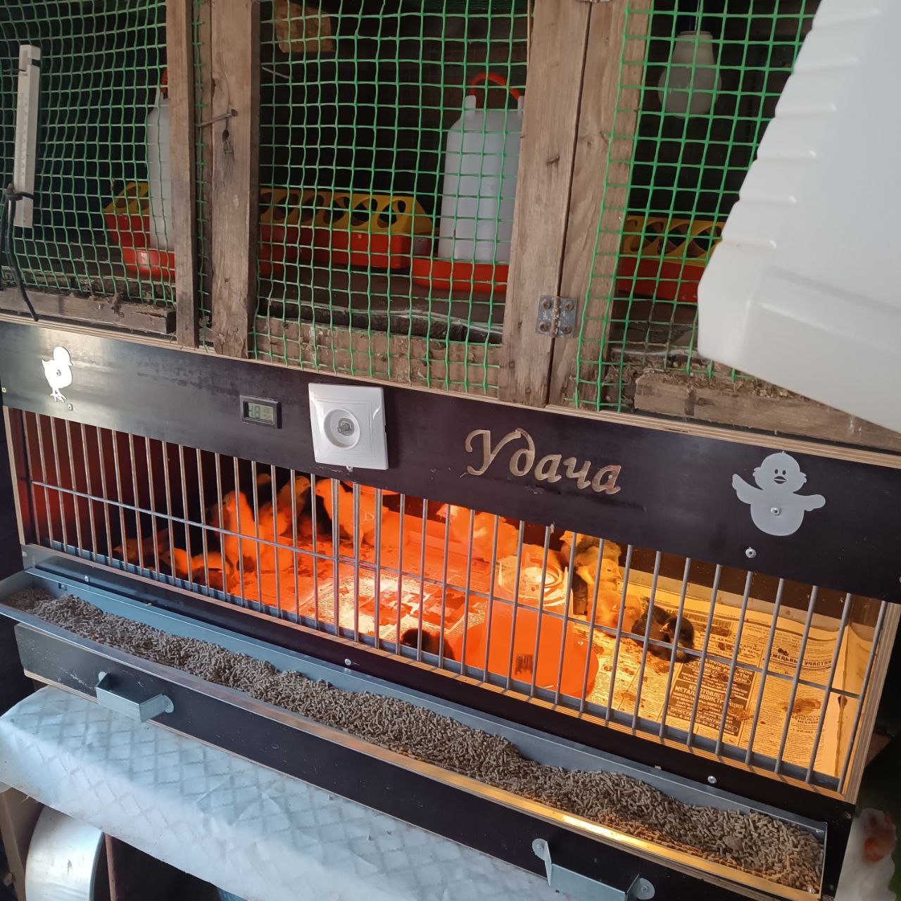photo 1 2025 04 23 11 57 51