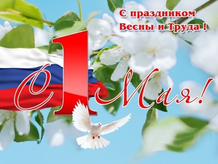aef90ff0e5a674103253014abbb9d577