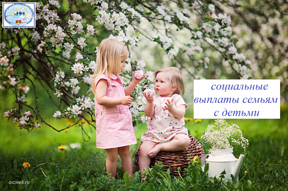Социальные выплаты