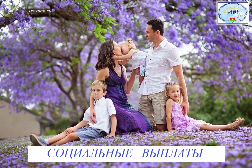 1697476544 klev club p kartinki po tsvetam semya 47