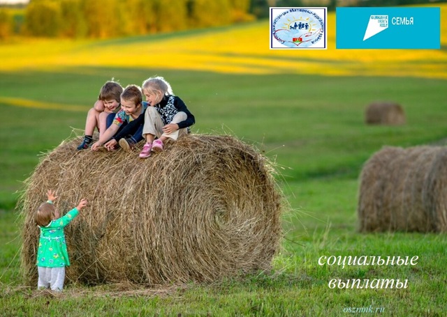 foto 2025 07 17 14 50